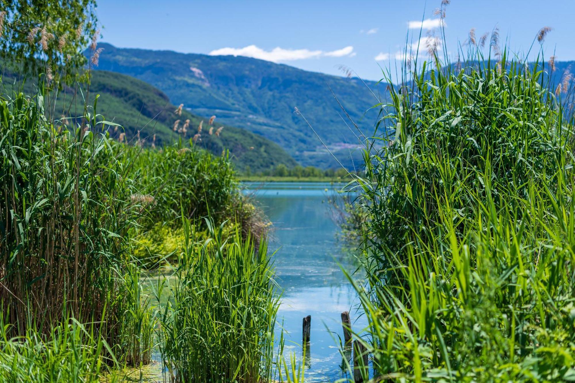 Villa Naj Termeno Esterno foto