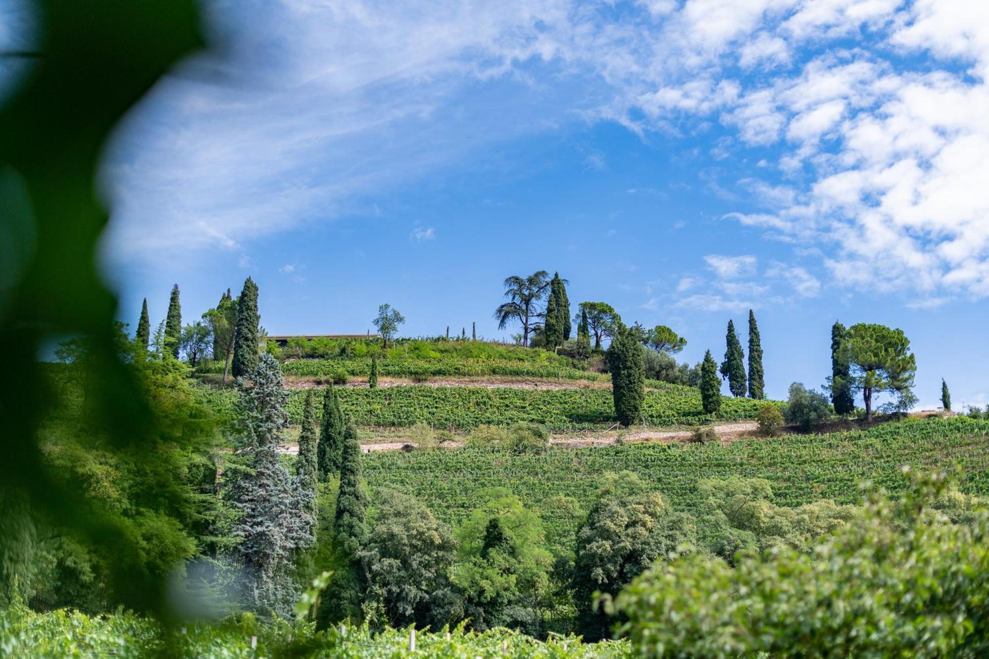 Villa Naj Termeno Esterno foto
